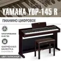 Цифровое пианино Yamaha YDP-145 R (палисандр) + Банкетка