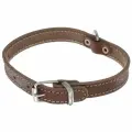 Ошейник для собак Аркон кожаный 16/1 цвет коньячный, обхват шеи 26-34 см