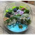 Флорариум сфера с имитацией водоема