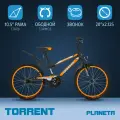 Детский велосипед TORRENT Planeta (дорожный, 1 скорость, рама сталь, колеса 20)