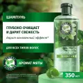 Хербал Эссенсес шампунь 350мл Аромат мяты 8700216210218