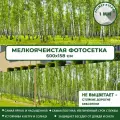 Фотосетка Мечта для забора беседки террасы 600x158 см, Березовая роща , фотофасад для дома дачи сада