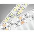 Светодиодная лента двухрядная 2835 240Led /19.2W m/ 12V IP20 4500K 5m, 5000*14*1.2mm