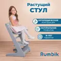 Растущий детский стул Rumbik IQ/ для школьника / регулируемый ортопедический, серый