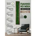 Панно из стабилизированного мха Венге 100*15 см, большая настенная картина для интерьера, для дома и комнаты