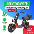 Электроскутер WHITE SIBERIA PRO 4000w 2WD - ( полный привод )