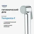 Гигиенический душ GROHE Tempesta-F Trigger Spray 30, хром