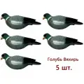 Чучела голубя вяхиря, 5 штук