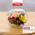 Композиция из живых цветов в герметичной вазе 11.6 см, сохраняется от 5 лет, серия Granity 5911
