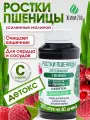 Витграсс Живи200 с малиной — детокс, поддержка иммунитета и энергия, курс 60 дней
