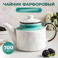 Чайник заварочный, заварной чайник, заварник для чая, заварочник, чайник для заварки, 0,7 л