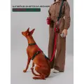 Шлейка прогулочная анатомическая для средних и крупных пород собак, CORADOG Quick click, размер M, цвет темно-зеленый, красный