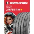 Летняя шина Delinte DS2 SUV 275/55 R19 111V