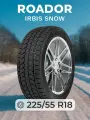 ROADOR Irbis Snow 225/55 R18 98S Шины зимние