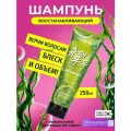 Consly Шампунь с экстрактами водорослей и зеленого чая Матча для очищения кожи головы, для ухода за волосами, для силы и блеска, корейская косметика. 250мл