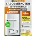 Настенный газовый котел Immergas Eolo Mythos 24 5R двухконтурный (закрытая камера сгорания)