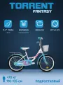 Детский велосипед TORRENT Fantasy (детский-подростковый, 1 скор, рама сталь, колеса 20, корзина)