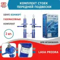 Стойки передние 2170 Приора DEMFI Комфорт, газомасляные