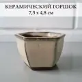 Керамический горшок для суккулентов и кактусов / Керамический горшок для цветов