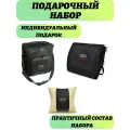 67151 Подарочный набор с автологотипом AUDI, подушка в салон, термосумка 20л, органайзер в багажник
