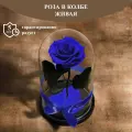 Стабилизированные цветы в стекле, Роза в колбе живая Glamur Plus синяя, GIFT4YOU
