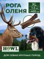 Рог Северного оленя для собак крупных пород (размер XL) 400 гр. HOWL