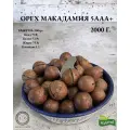 Орех Макадамия-5+AAА, самый крупный размер,2 кг!