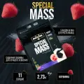 Maxler Special Gainer - Гейнер со вкусом клубники, 6 фунтов