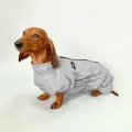 Комбинезон для собак утепленный, дождевик для собак Такса и Корги