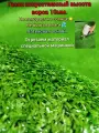 Искусственный газон 3.5 х 1 (высота ворса 10мм) Газон искусственный зеленый, искусственная трава