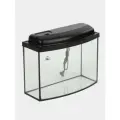 Аквариум Телевизор 25 литров, с крышкой и подсветкой, аквариум с гнутым стеклом