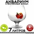 Аквариум vecchio vaso шар круглый стеклянный для рыбок бокал 7 литров