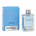 Туалетная вода Salvatore Ferragamo Acqua Essenziale, древесный аромат, мужская, 50мл