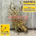 Коряга крупномер 74х57х41 см для аквариумов и террариумов Визивиг/ природная декорация/ биологический фильтр для аквариума, дизайн аквариума и акваскейпа