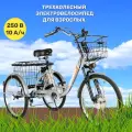 Электровелосипед трехколесный для взрослых РВЗ Чемпион , серебро 250,10