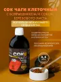 Сок Чаги клеточный с боярышником и соком березового листа Нормализует работу сердечно-сосудистой и нервной систем