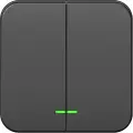 Выключатель 2-клавишный с подсветкой Blanca Schneider Electric 10А 250В антрацит из. пластина
