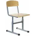 Стул ученический регулируемый Ученик, 585-665х340х430 мм, рост 2-4, серый каркас