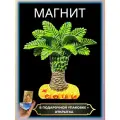 Магнит на холодильник Сочи