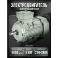 Электродвигатель 380В 3кВт/3000об/мин вал 24мм лаповый 1081 VEMPER