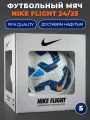 Мяч футбольный профессиональный Nike Flight Английской Премьер-Лиги 2024/25