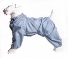 Комбинезон-дождевик для американского кокер-спаниеля кобеля, повышенной прочности, цвет серо-голубой