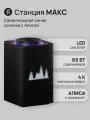 Умная колонка Станция Макс с Zigbee