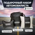 Подарочный набор автомобилиста для Chery: термосумка, подушка на подголовник, подушка