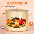 Кастрюля эмалированная для плиты 9.0 л