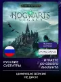 Игра Hogwarts Legacy / Хогвартс Наследие Deluxe для PlayStation PS4, PS5
