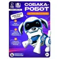 Робот игрушка для мальчика Чаппи, интерактивный робот / подарок на новый год