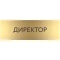Табличка директор с гравировкой (300*100 мм) на дверь стену / Табличка золото