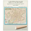 Центральный административный округ Москвы ЦАО, размер 157х118 см в тубусе, матовая ламинация, для дома, офиса, школы, АГТ Геоцентр