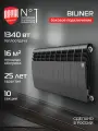 Радиатор биметаллический Royal Thermo BILINER B 350 Чёрный - 10 секц